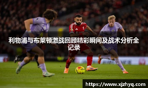 xk星空网站
